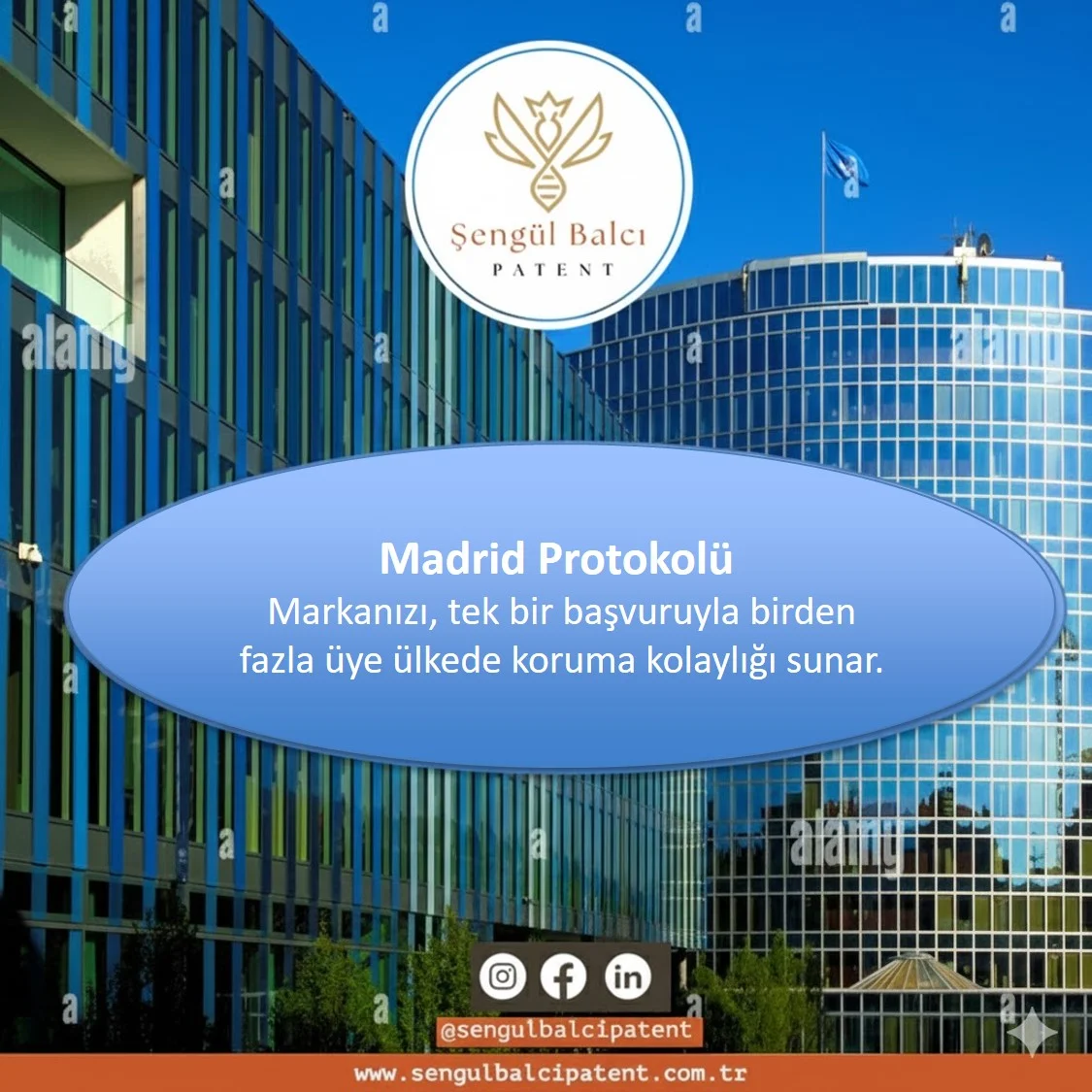 Yurtdışı Marka Tescili